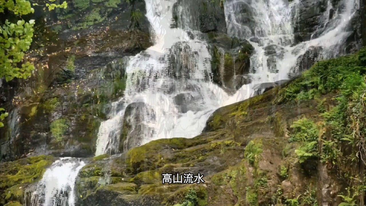 动物帮帮忙保卫家园